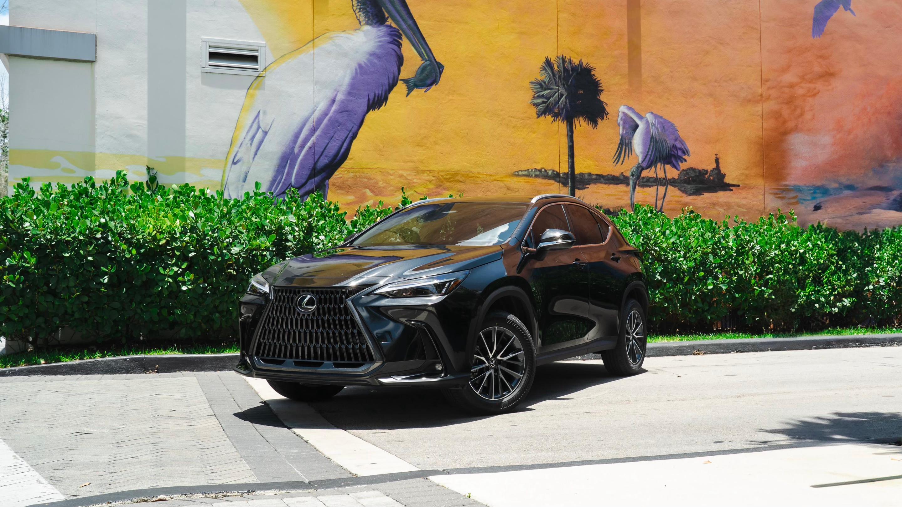 Lexus NX 2025 in 