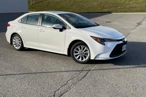 Toyota Corolla car