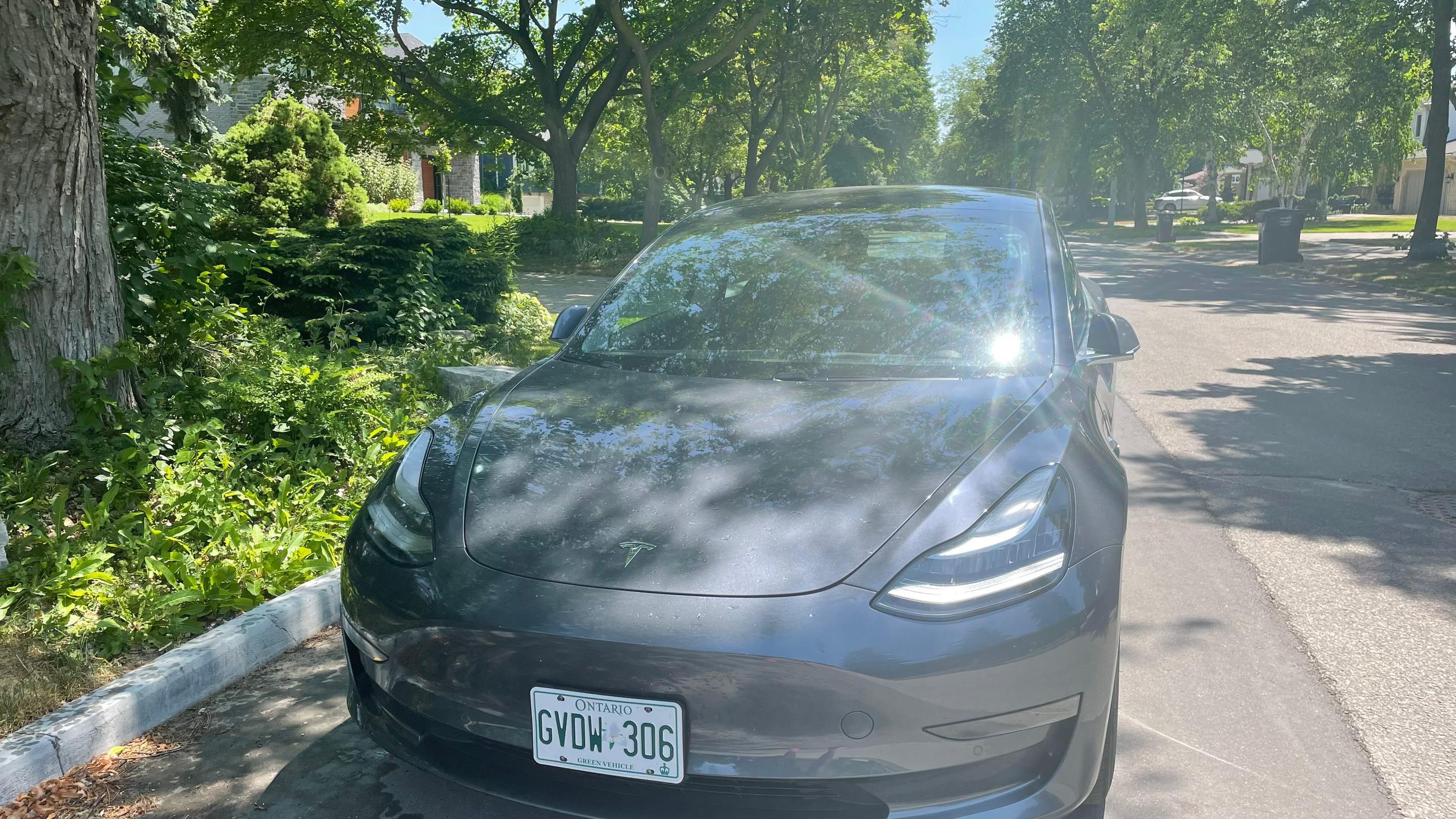Tesla Model 3 2020 à Burlington, ON