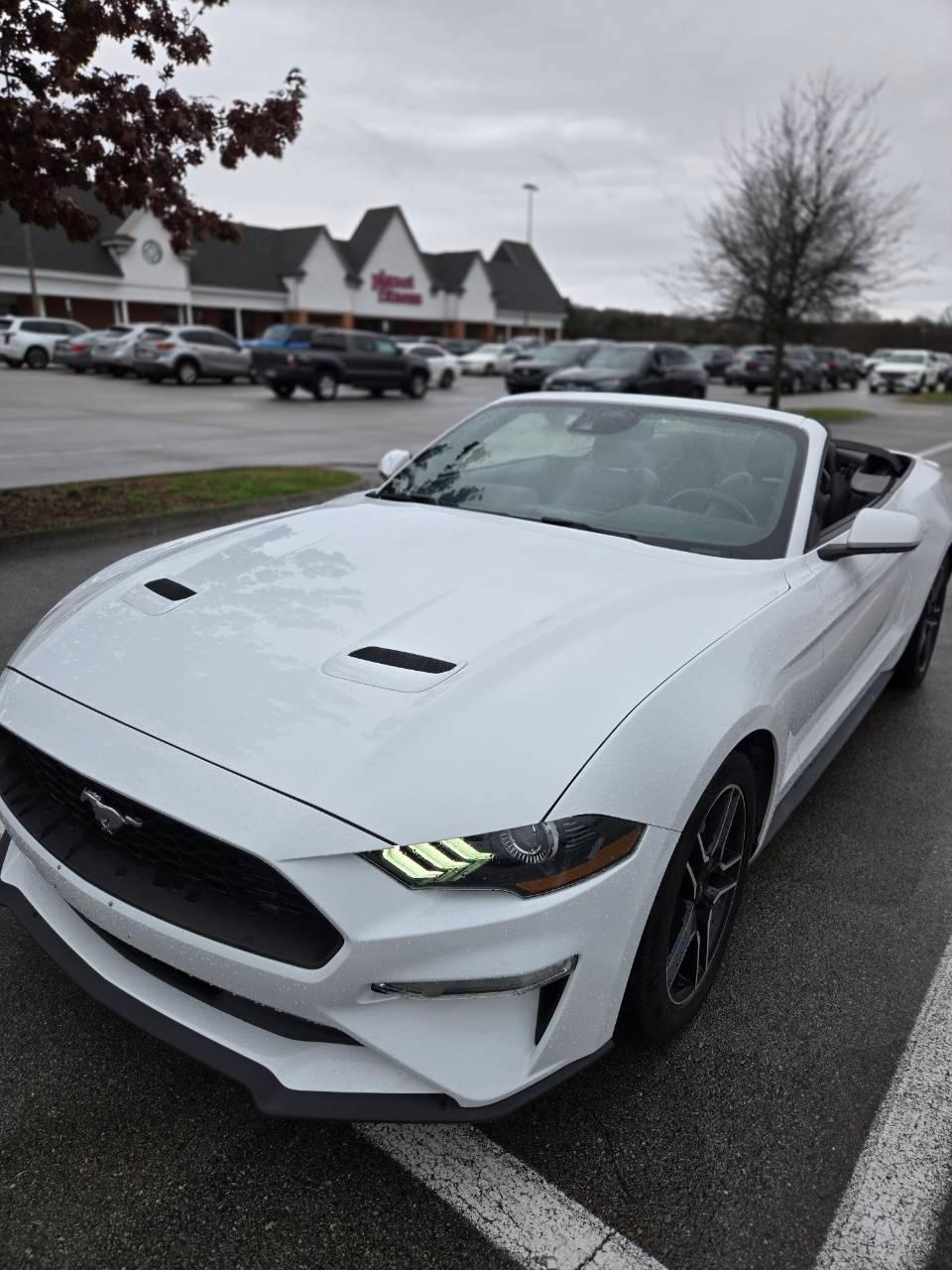 Ford Mustang 2023 in Farragut, TN
