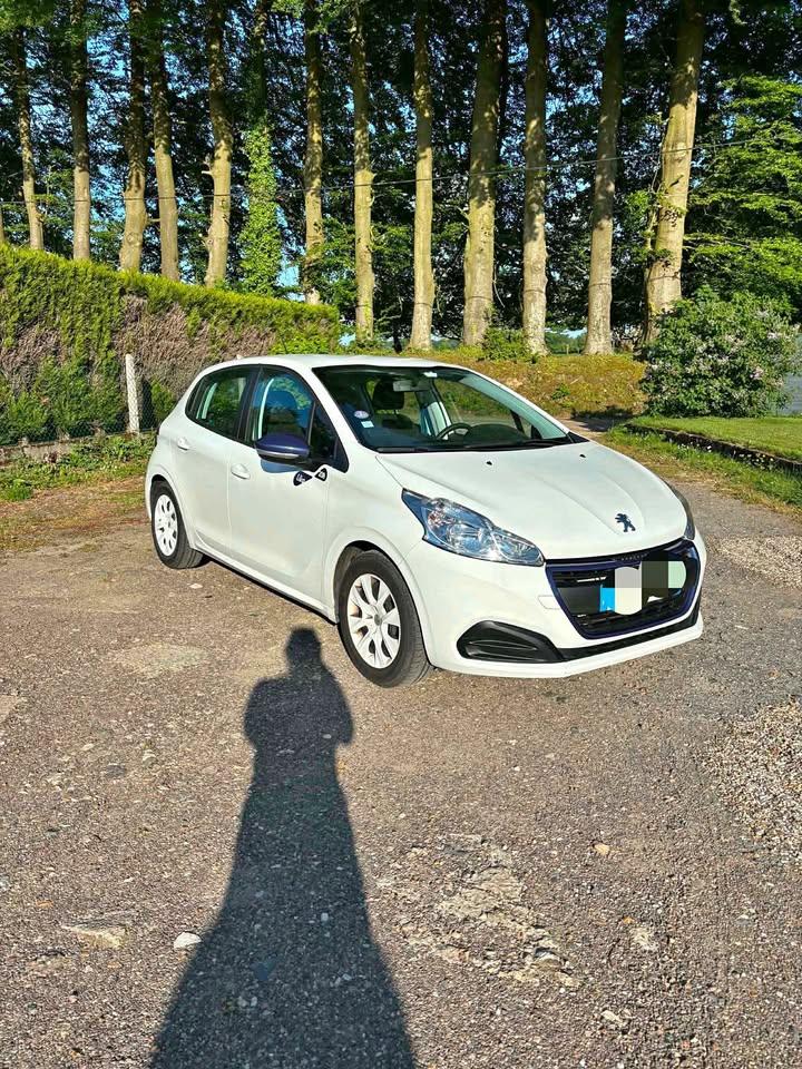 Peugeot 208 2018 in Pianottoli-Caldarello