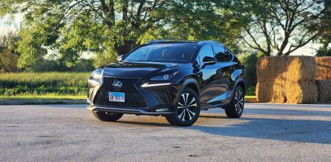 Lexus NX 2019