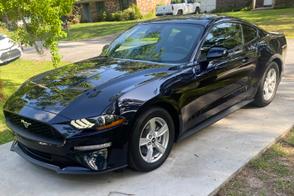 Ford Mustang car