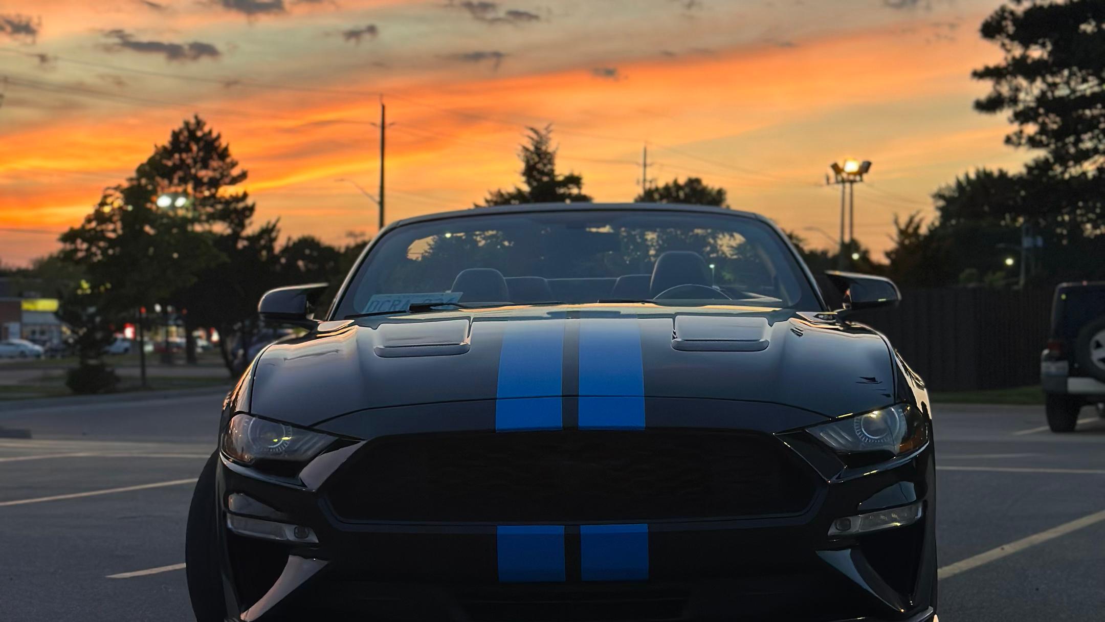Ford Mustang 2019 in London, ON