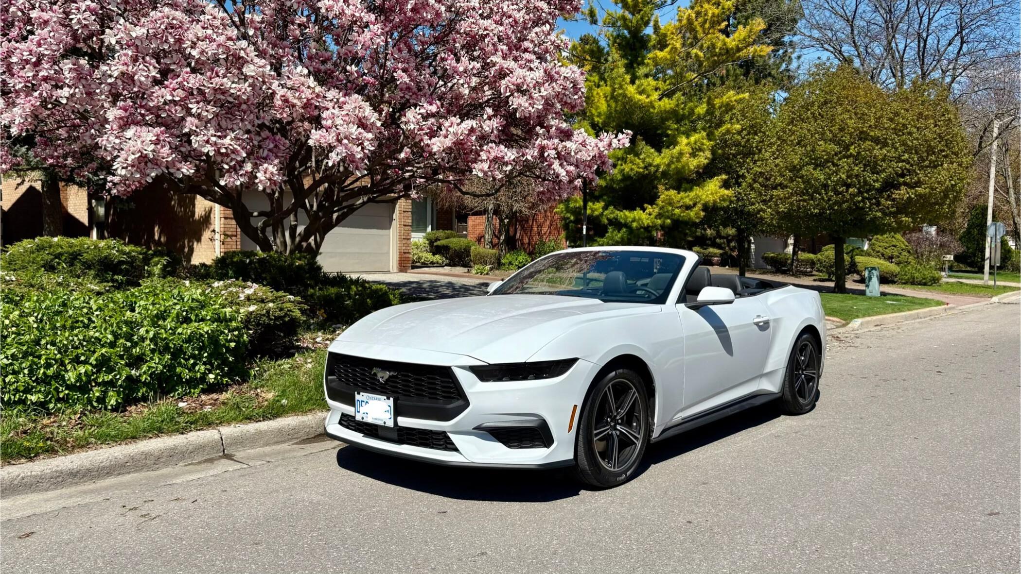 Ford Mustang 2025 à 