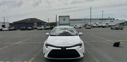 Toyota Corolla Hybrid 2024