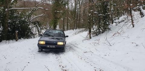 Citroen bx turbo diesel  1991
