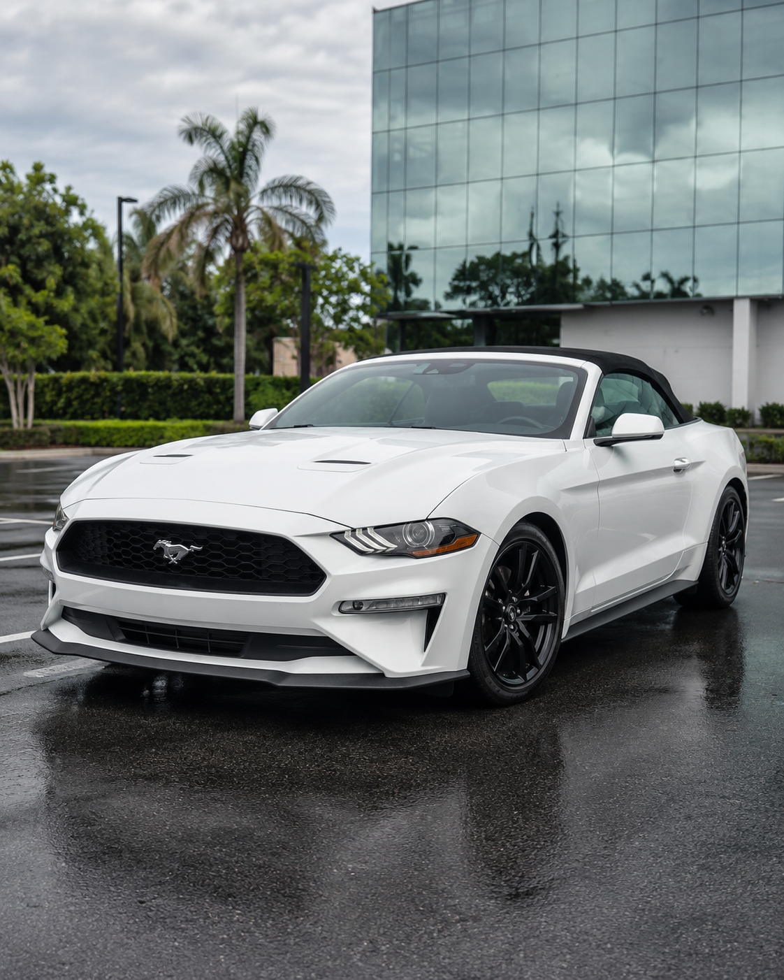 Ford Mustang 2022 in Boca Raton, FL