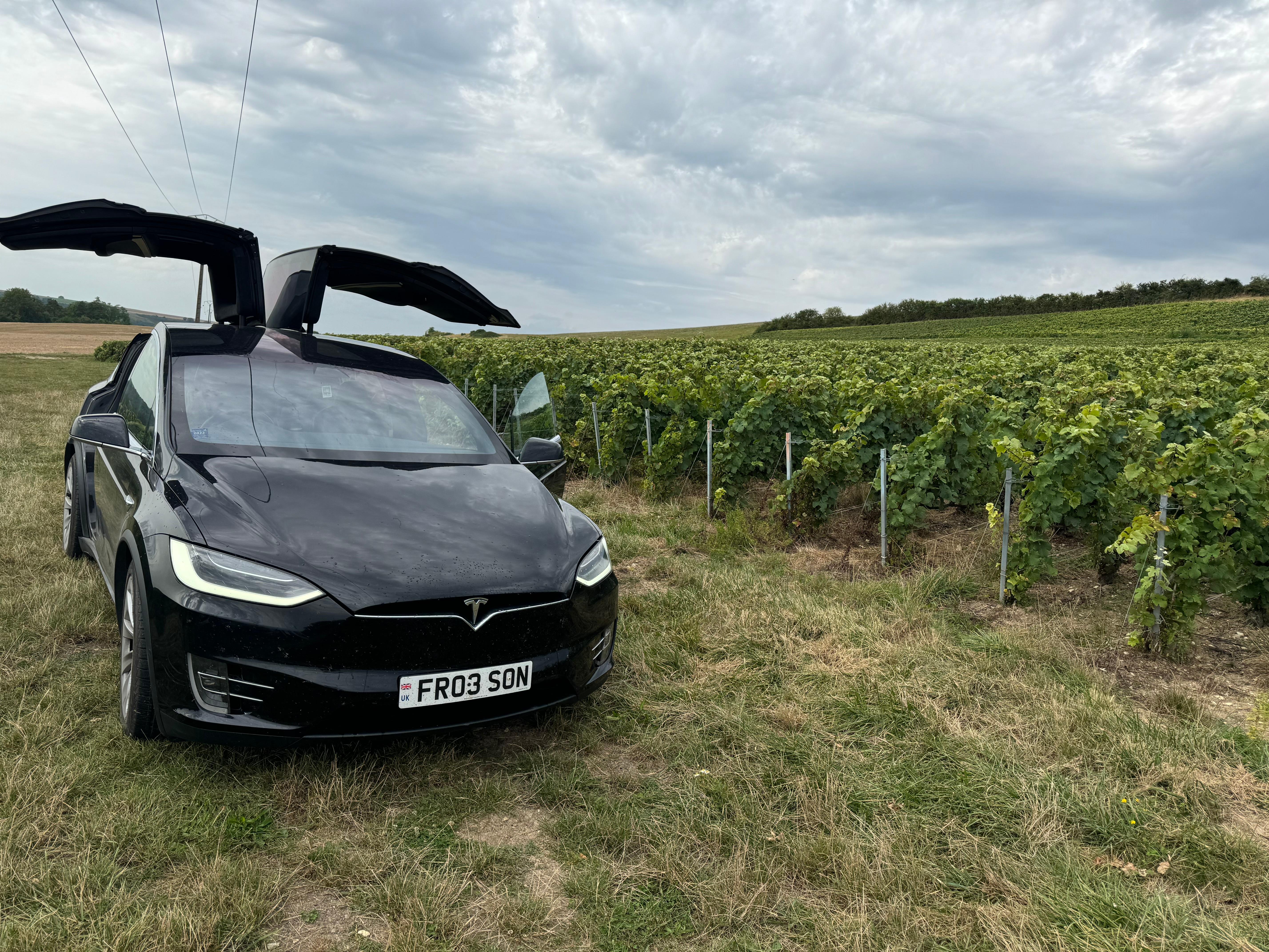 Tesla Model X 2017 in Claygate
