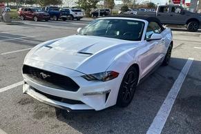 Ford Mustang 2023 in Orlando