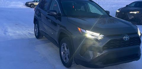 Toyota RAV4 Hybrid 2024