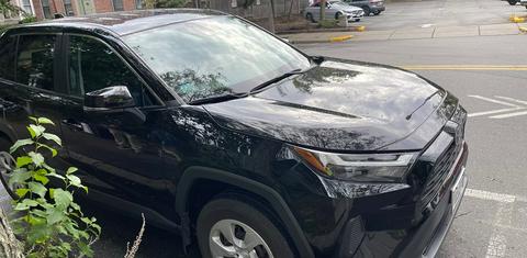 Toyota RAV4 2024