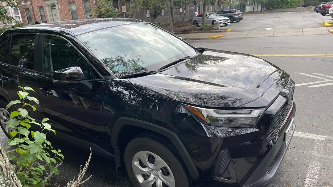 Toyota RAV4 2024 in 