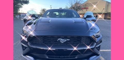 Ford Mustang 2022 rental in Seattle, WA by Funny video T. | Turo