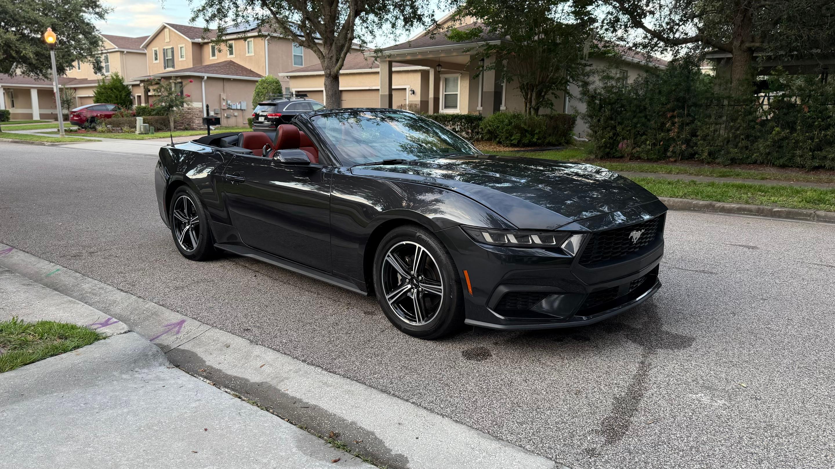 Ford Mustang 2024 in Windermere, FL