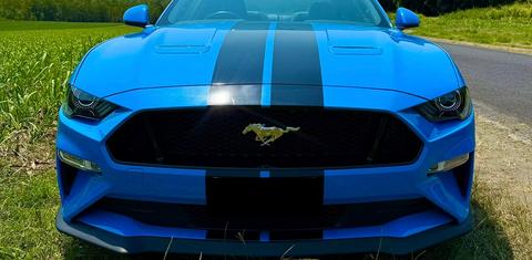 Ford MUSTANG 2022
