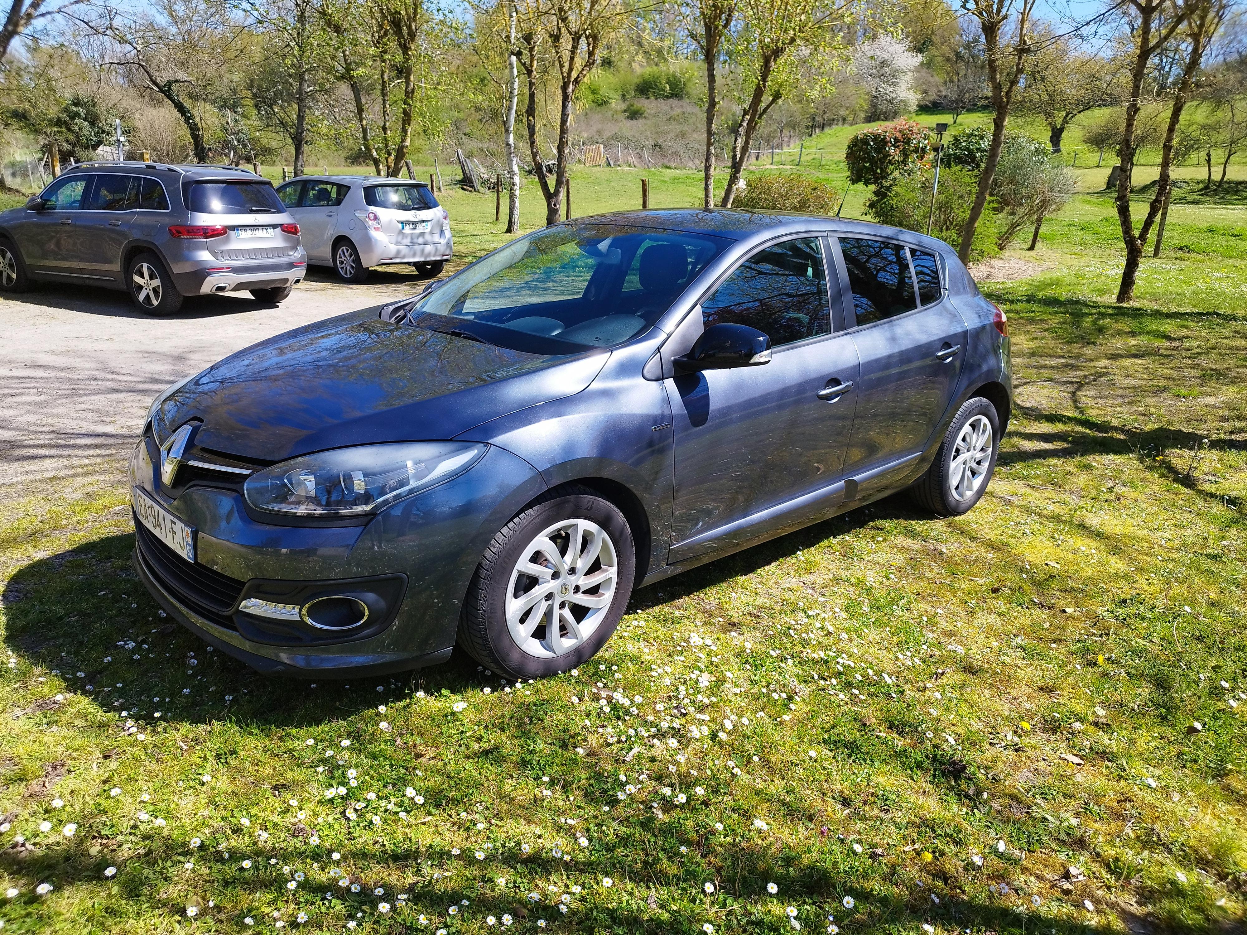 Renault MEGANE III 2015 à Orléans