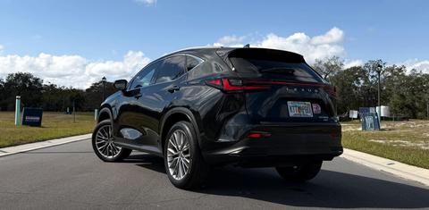 Lexus NX 2022