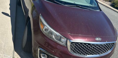 Kia Sedona 2015