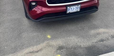 Toyota Highlander Hybrid 2022