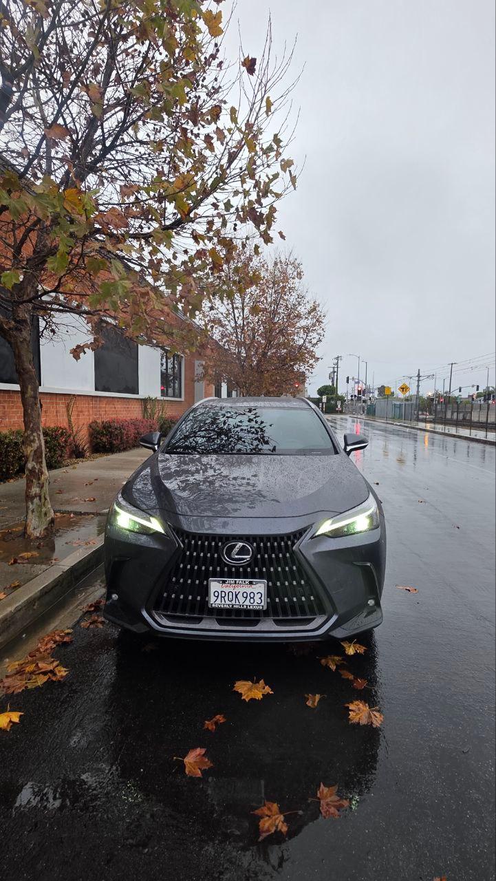 Lexus NX 2025 in 