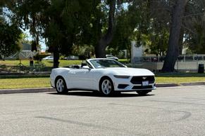 Ford Mustang 2026 in Los Angeles