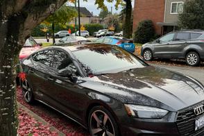 Catégorie de véhicule : Audi A5