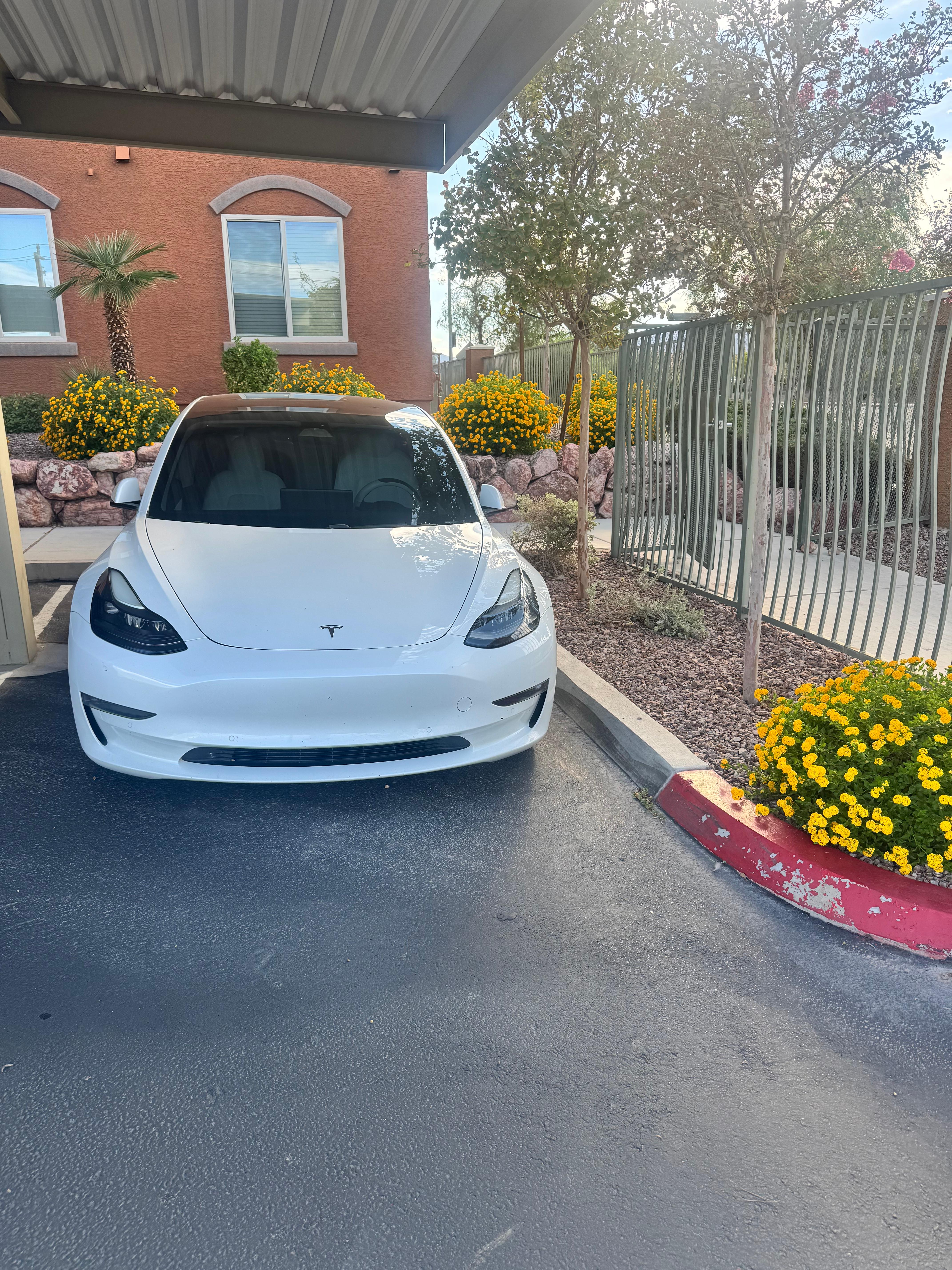Tesla Model 3 2021 in Henderson, NV