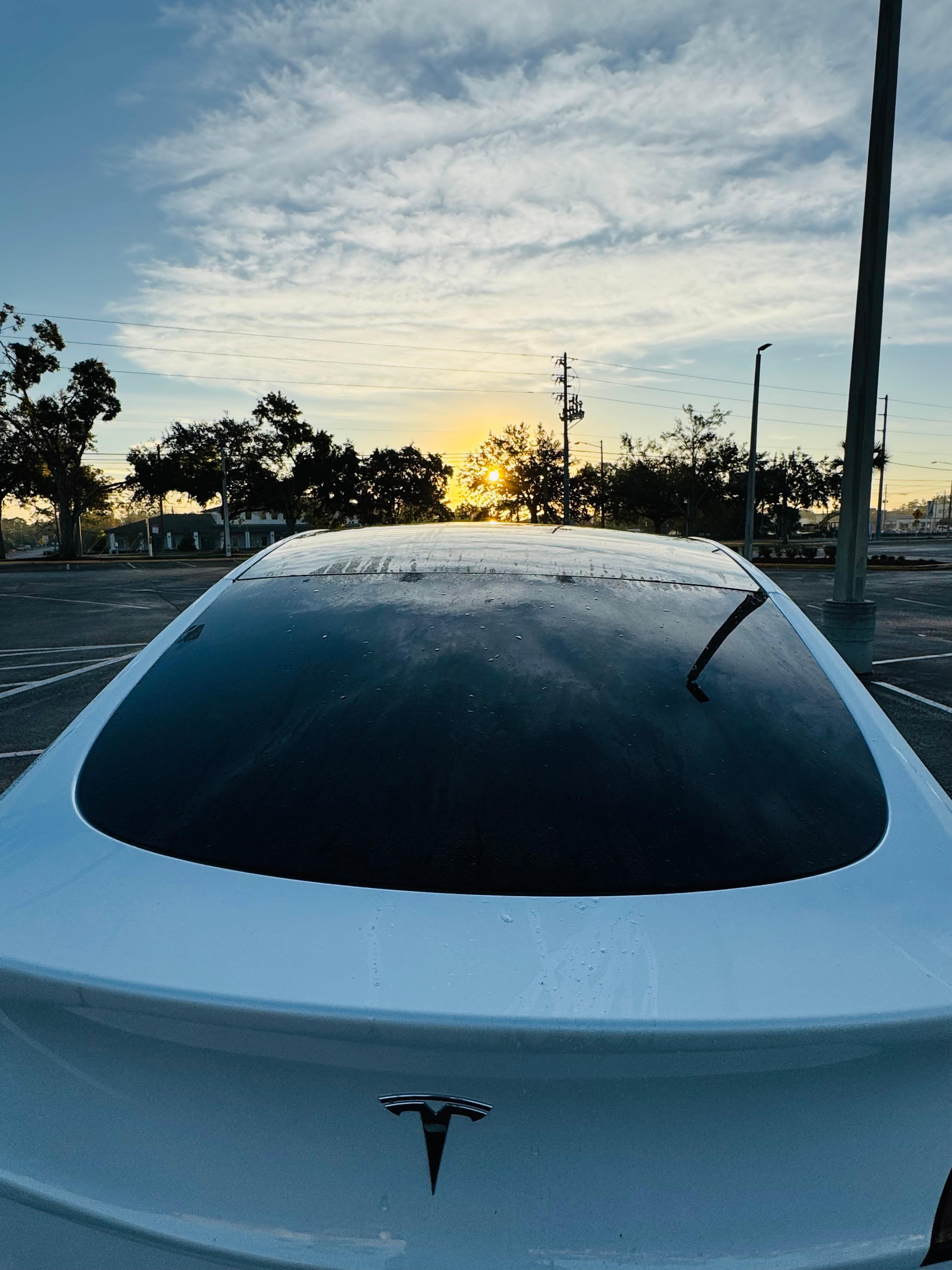 Tesla Model Y 2025 rental in Winter Park, FL by CAR DEALERSHIP R. | Turo