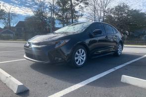 Toyota Corolla car