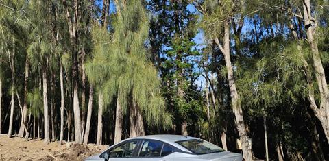 Nissan Versa 2024
