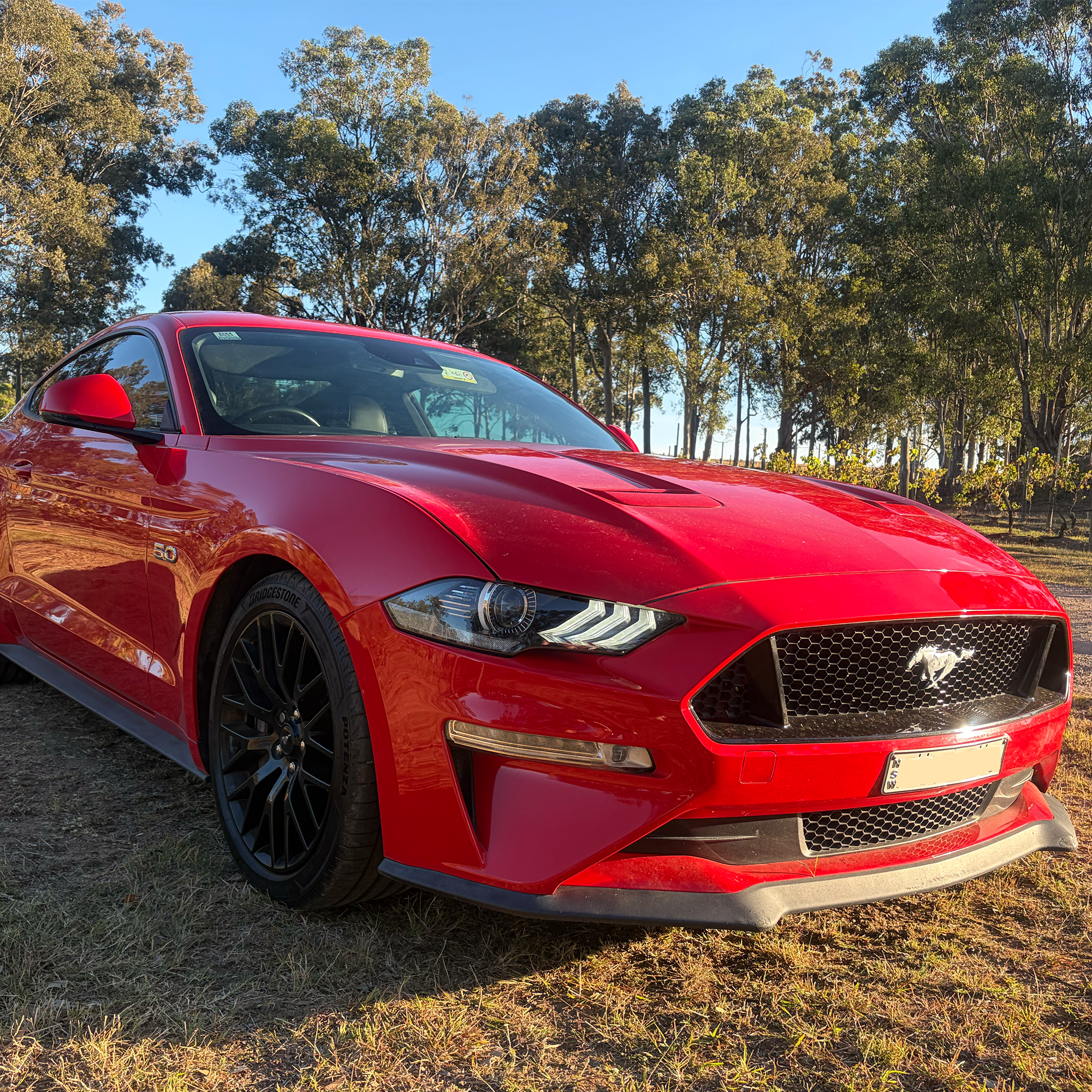 Ford MUSTANG 2019 à Abermain