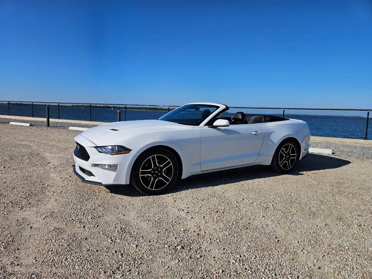 Ford Mustang 2023 in Panama City, FL