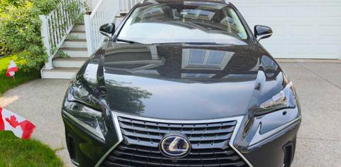 Lexus NX 2020