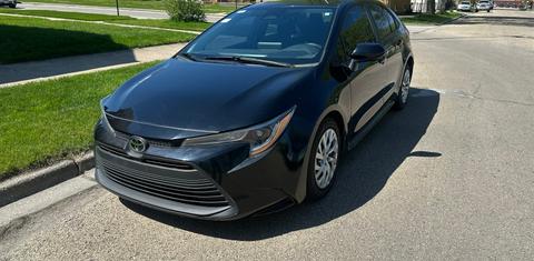 Toyota Corolla 2023