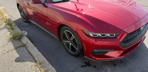 Ford Mustang 2024