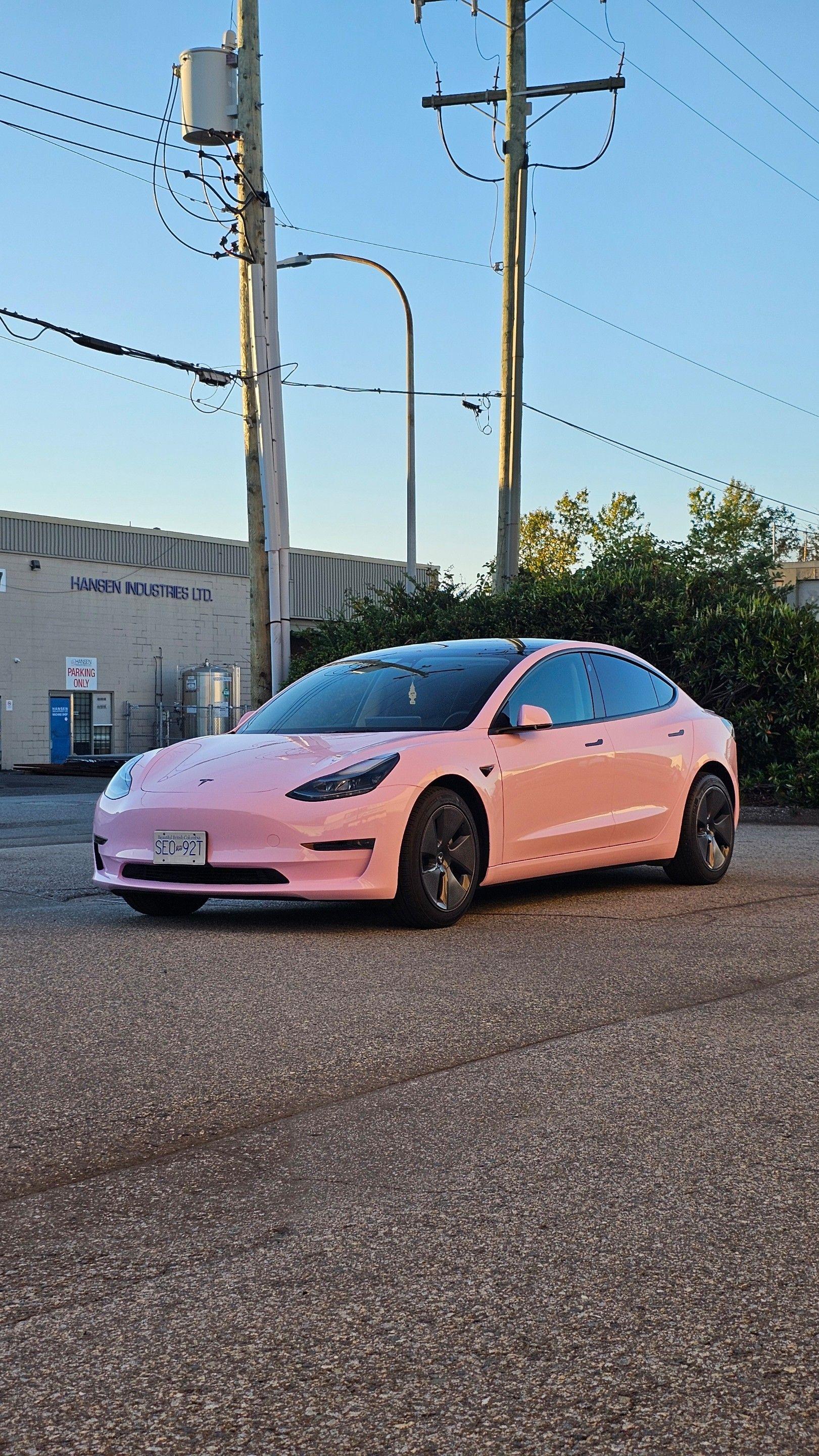 Tesla Model 3 2022 à Richmond, BC