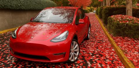 Tesla Model Y 2021