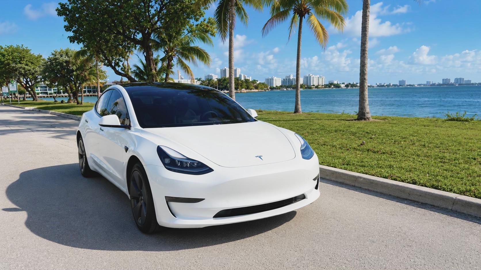 Tesla Model 3 2023 in 