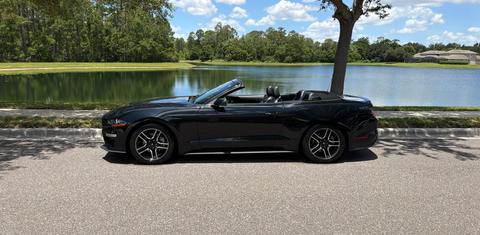 Ford Mustang 2019