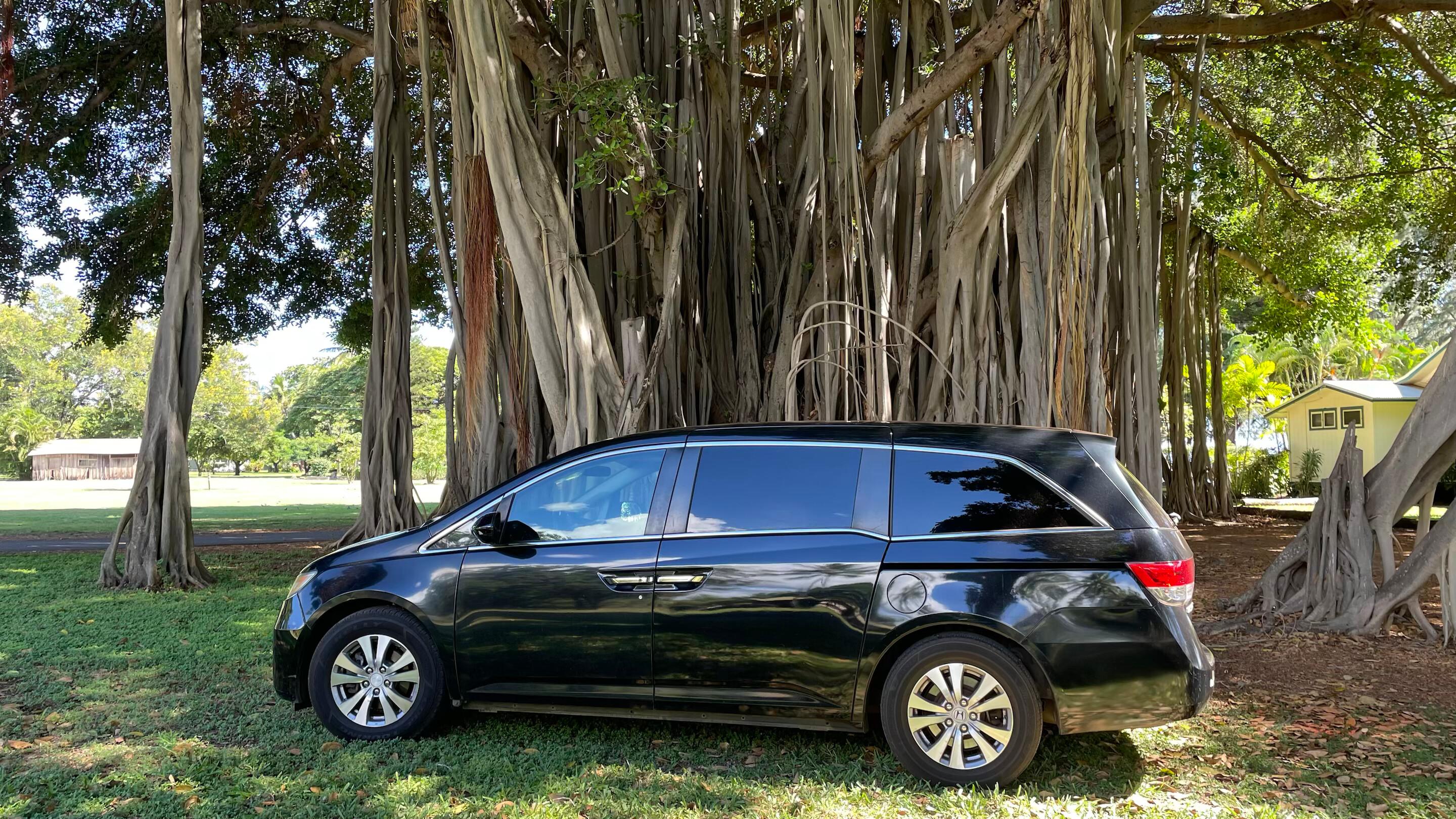 Honda Odyssey 2015 in Lihue, HI