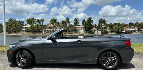 BMW 2 Series 2019