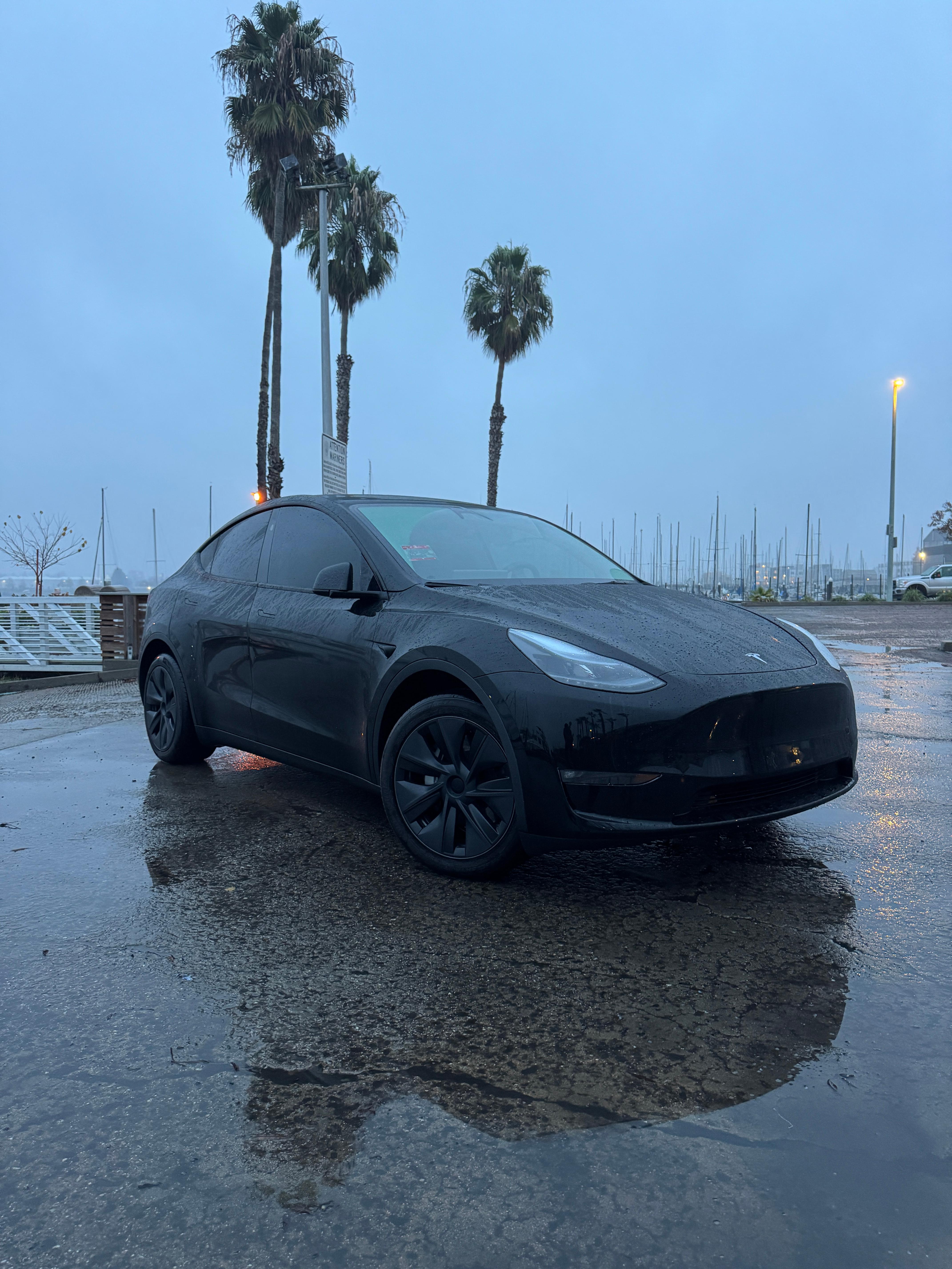 Tesla Model Y 2024 in Pittsburg, CA