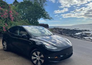 Catégorie de véhicule : Tesla Model Y