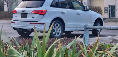 Audi Q5 2016