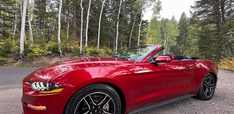 Ford Mustang 2023