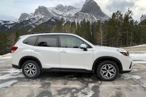 Catégorie de véhicule : Subaru Forester