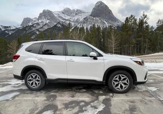 Catégorie de véhicule : Subaru Forester