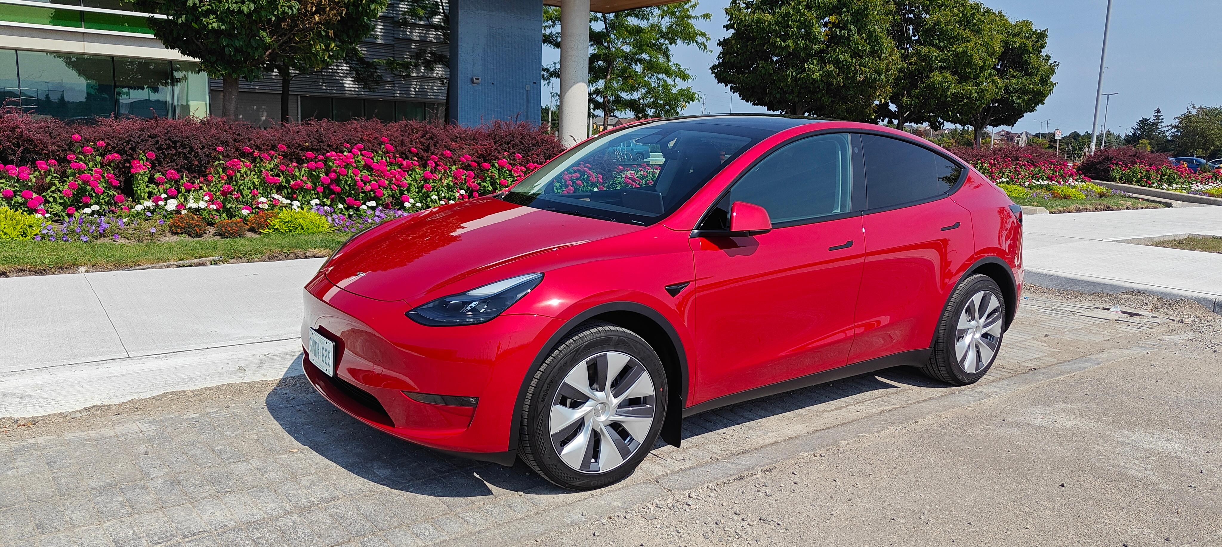 Tesla Model Y 2023 à Brampton, ON