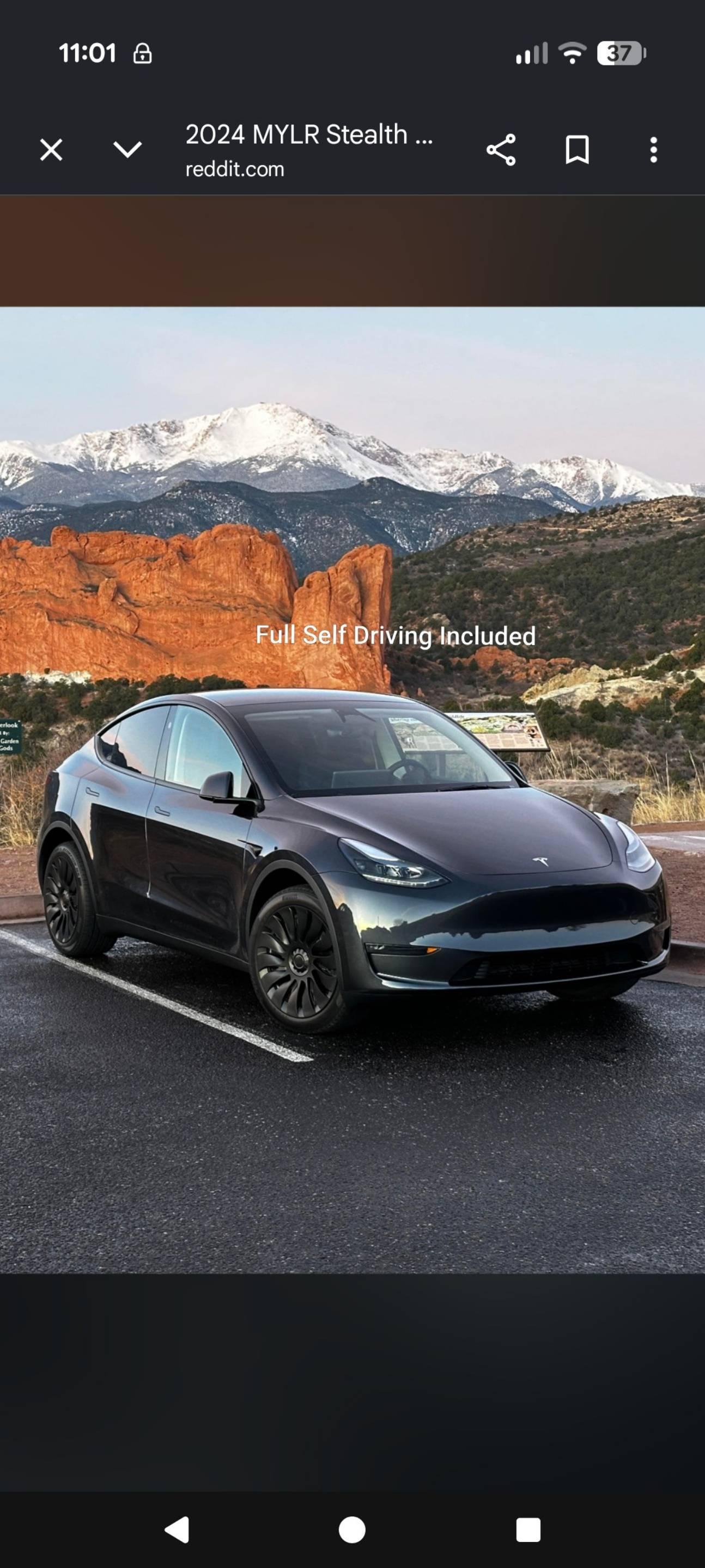 Tesla Model Y 2024 in New Orleans, LA